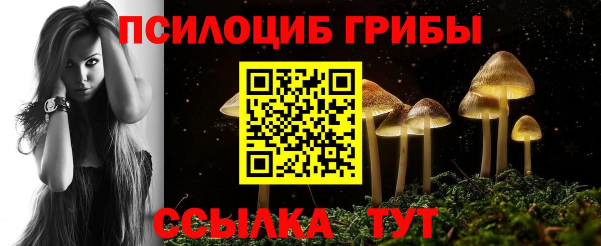 Псилоцибиновые грибы Psilocybine cubensis  Вход с VPN  Уссурийск  Галлюциногенные грибы мицелий 